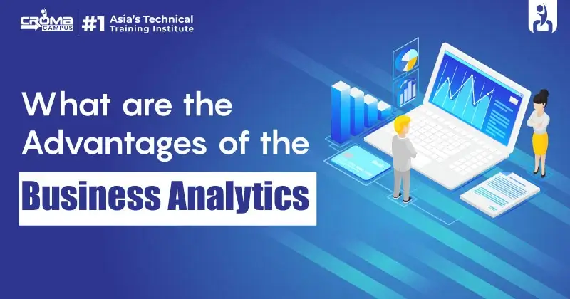 What are the Advantages of the Business Analytics?