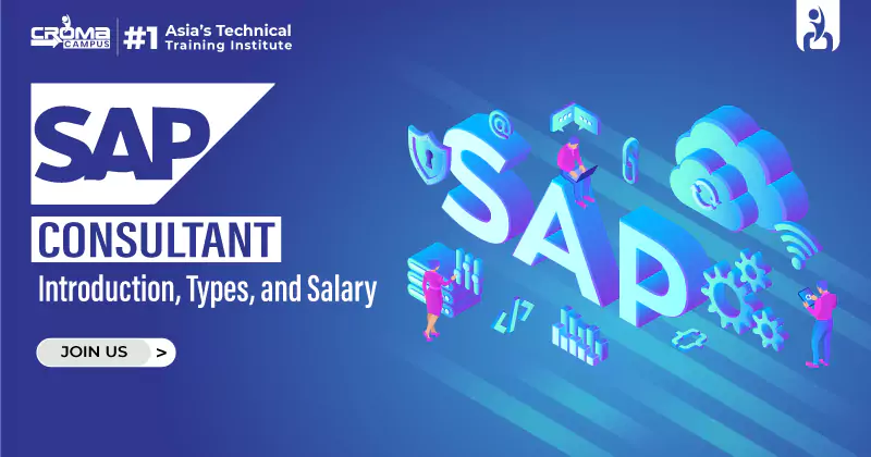 SAP Consultant: Introduction, Types, and Salary