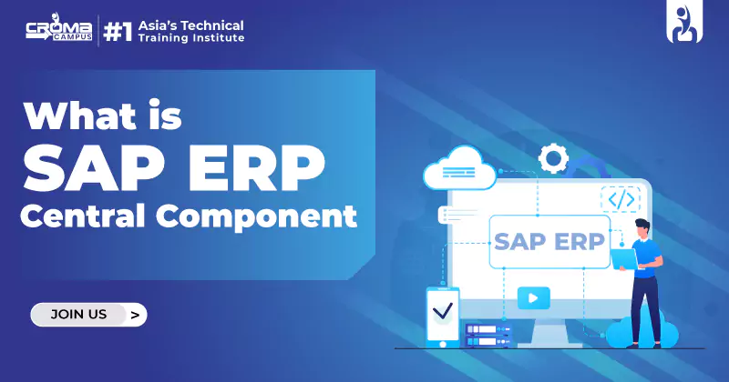 SAP ERP Central Component