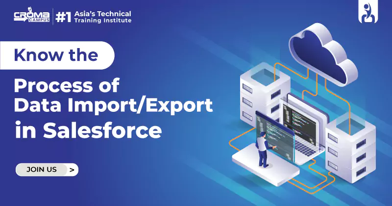 process of Data Import Export in Salesforce