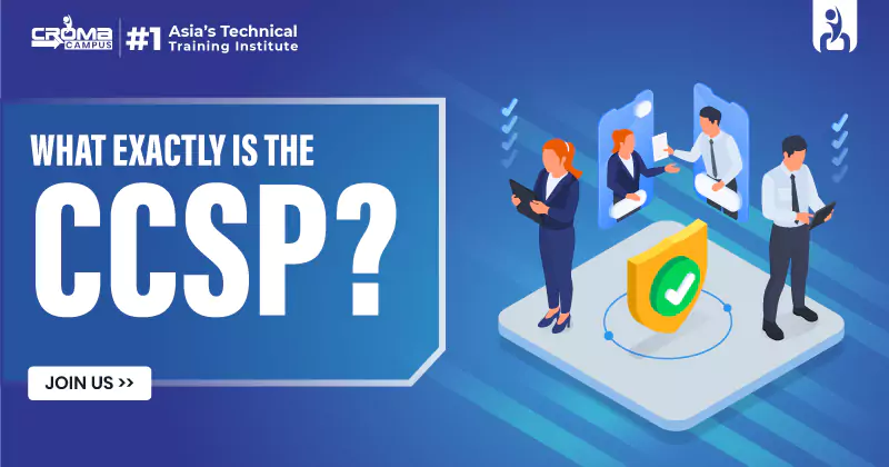 What exactly is the CCSP