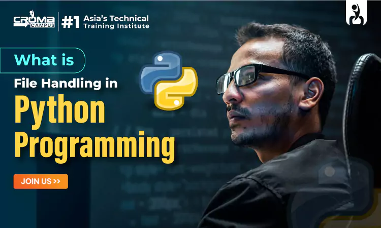 What is File Handling in Python Programming